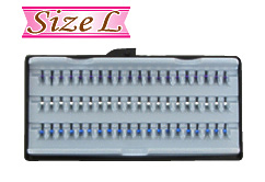 size_l size_l