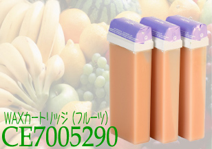 ce-7005290