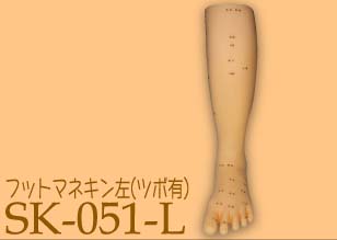 フットマネキン左-ツボ有（SK-051-L)
