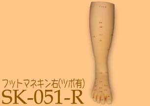 フットマネキン右-ツボ有(SK-051-R)